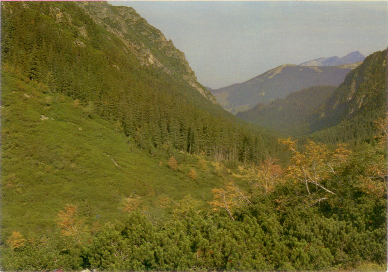 Tatrzański Park Narodowy Dolina Roztoki