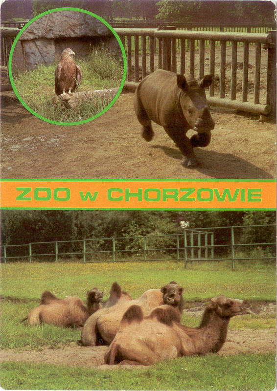 Katowice Chorzów ZOO