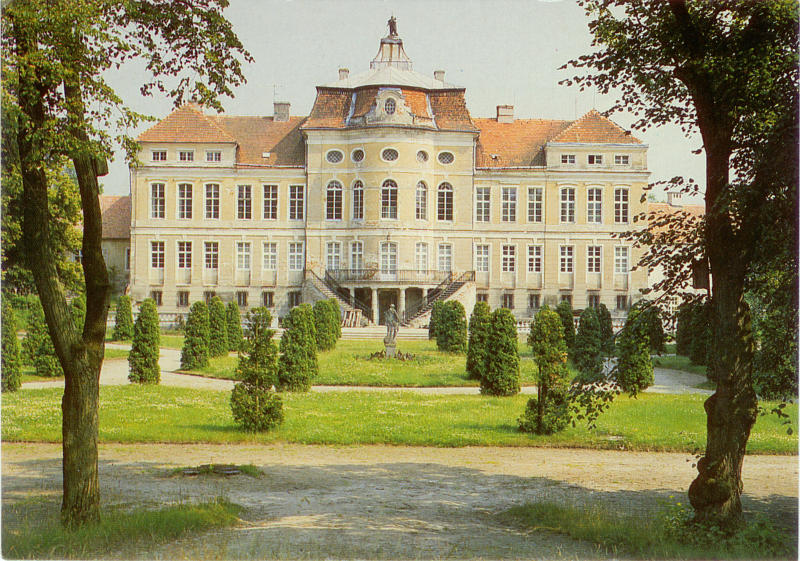 Rogalin Pałac Muzeum