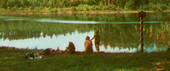 Czarny Bryńsk rezerwat