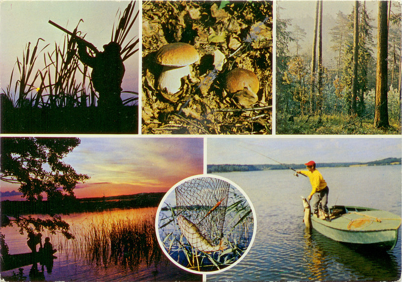 Urlop nad jeziorem widokówka