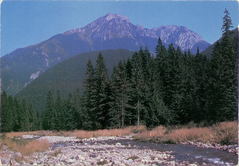 Tatry Dolina Chochołowska