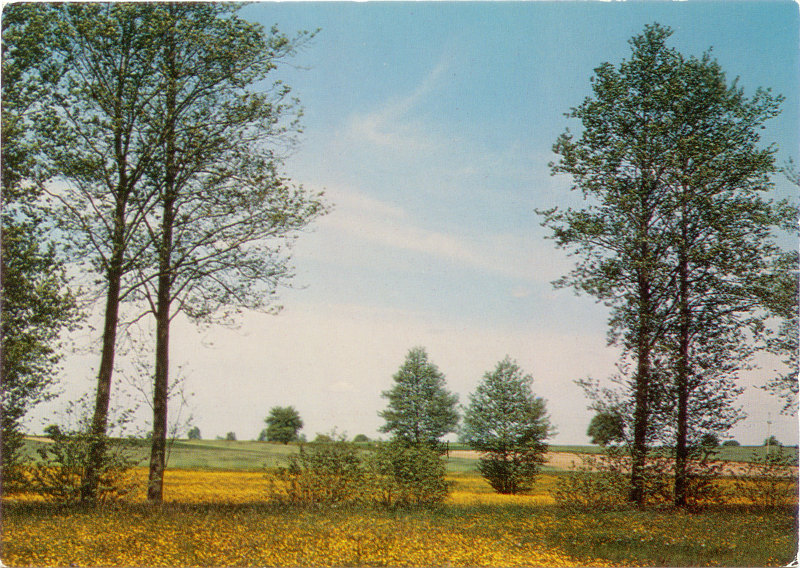 Ziemia Piotrkowska pocztówka