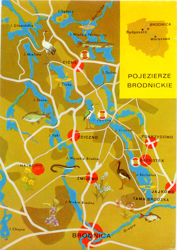 Pojezierze Brodnickie pocztówka mapka