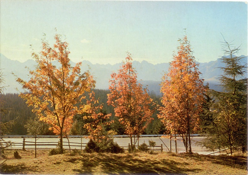 Panorama Tatr polana Głodówka widokówka