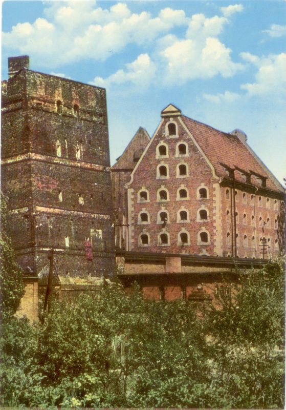 Toruń Krzywa Wieża pocztówka