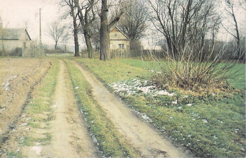 Wólka Kozłowska widokówka