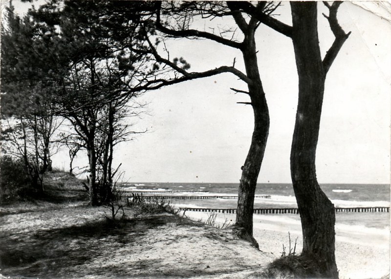 Dźwirzyno widokówka