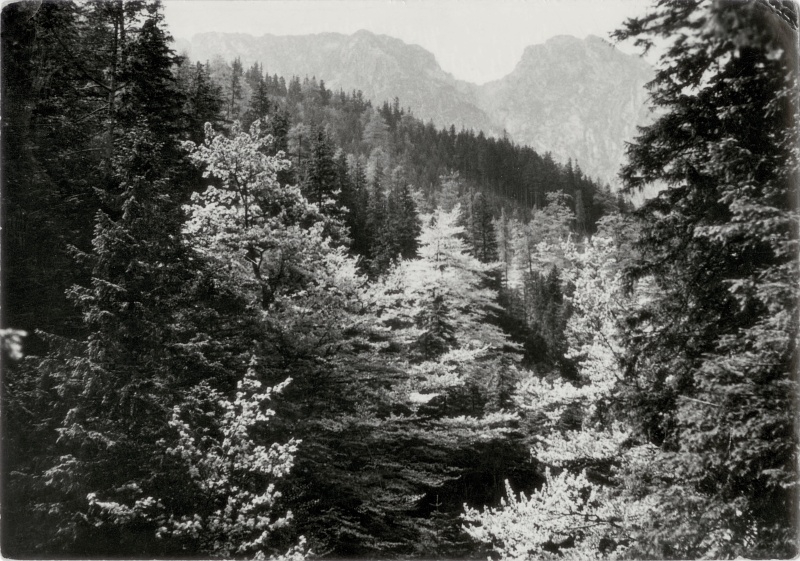 Tatry Dolina Strążyska pocztówka