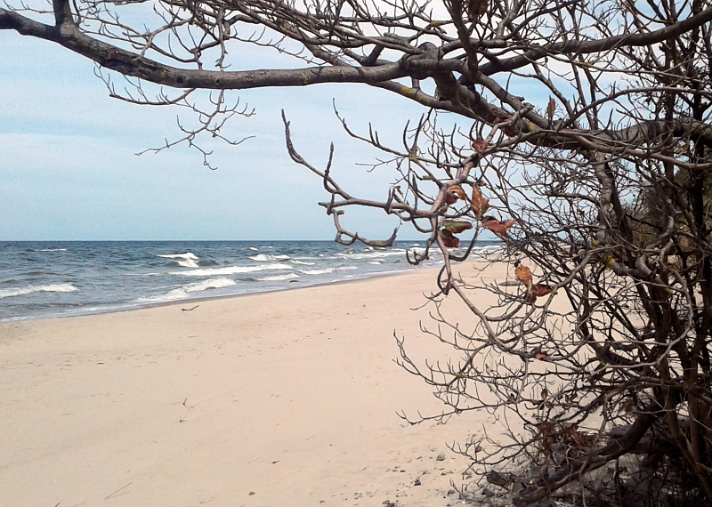 Wisełka plaża