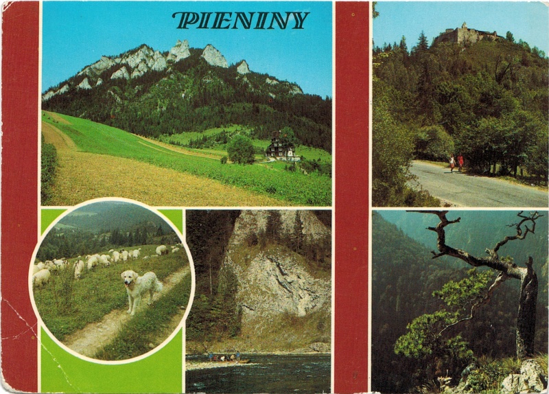 Pieniny pocztówka 