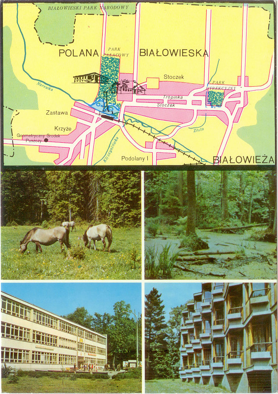 Białowieża pocztówka